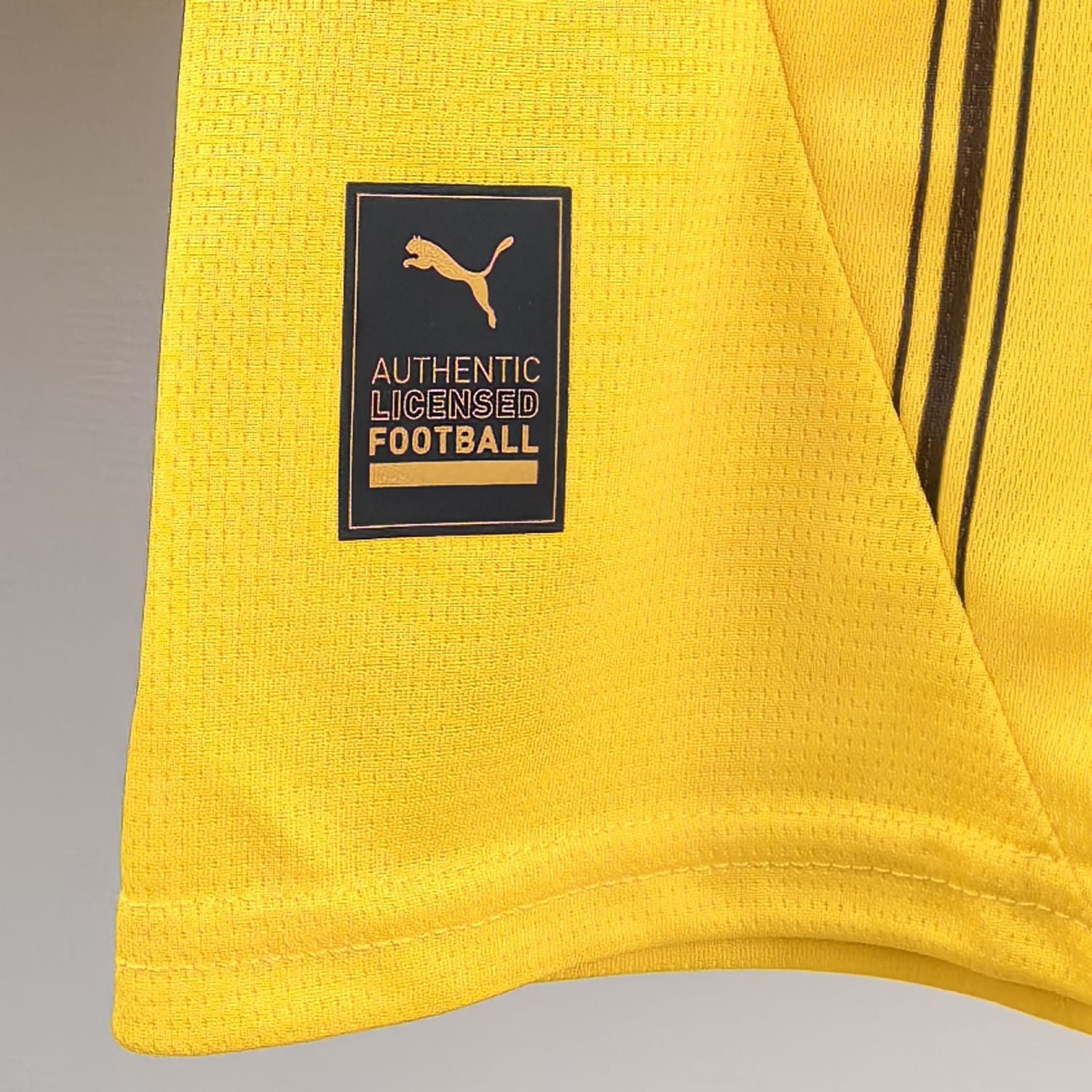 Camisa Puma Borussia Dortmund 2024-25 Amarela