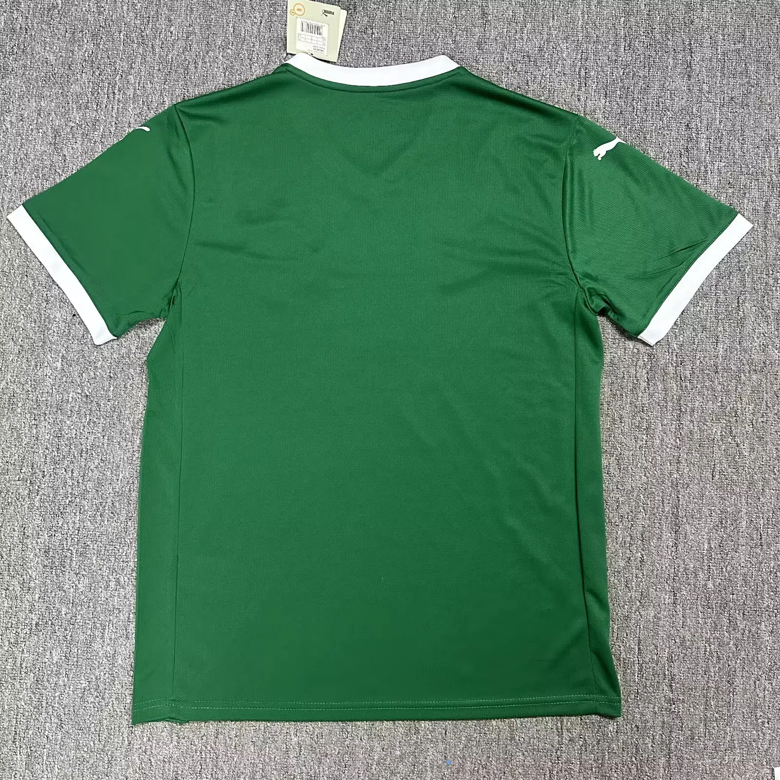 Camisa Palmeiras 2025 Verde