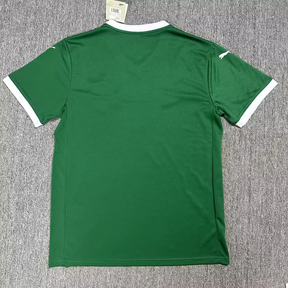 Camisa Palmeiras 2025 Verde