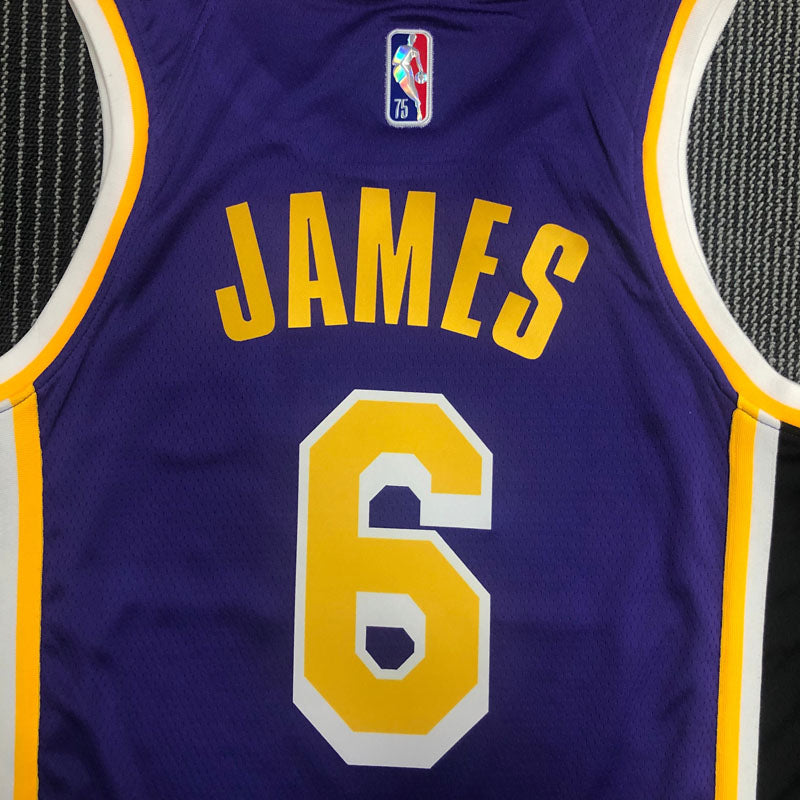 Regata Los Angeles Lakers Edição Diamante 75 anos 21/22 Lebron James 6 Roxa