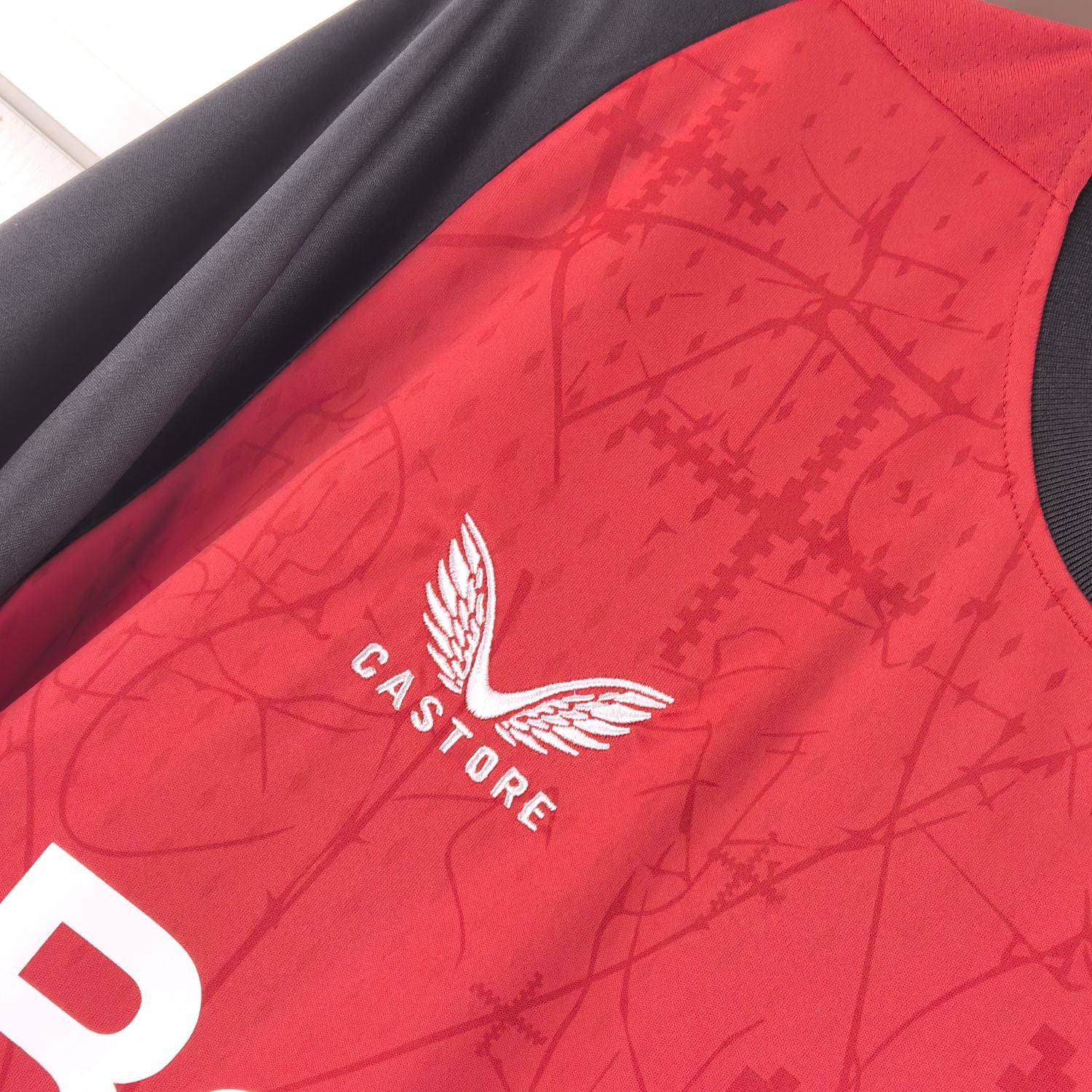 Camisa Bayer Leverkusen 2024-25 Vermelha