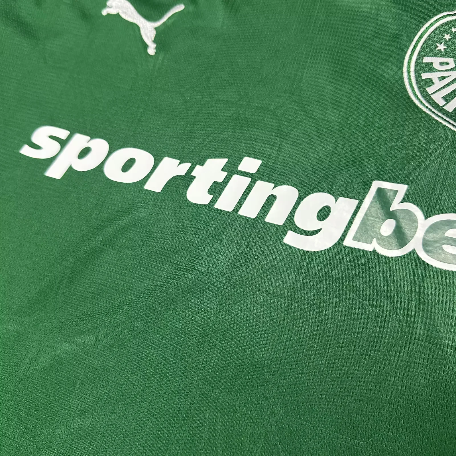 Camisa Palmeiras 2025 Verde