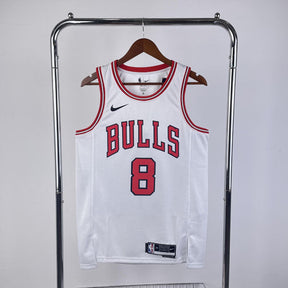 Regata Chicago Bulls Association Edition 24/25 Zach LaVine Branca