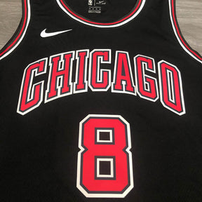 Regata Chicago Bulls Scottie Zach LaVine